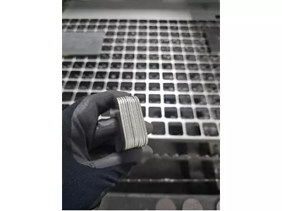 Media - 2026-02-19T094644.048.jpg